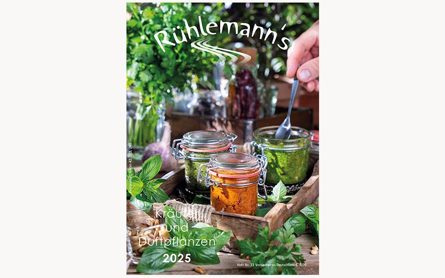 Rühlemann&#039;s Katalog 2025