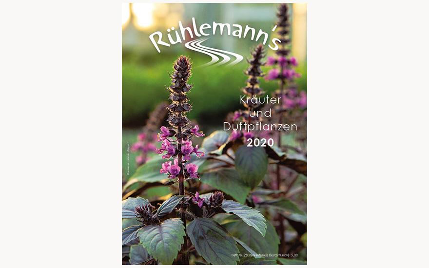 Ruhlemann S Katalog 2020 Katalog Ruhlemann S Krauter Und Duftpflanzen